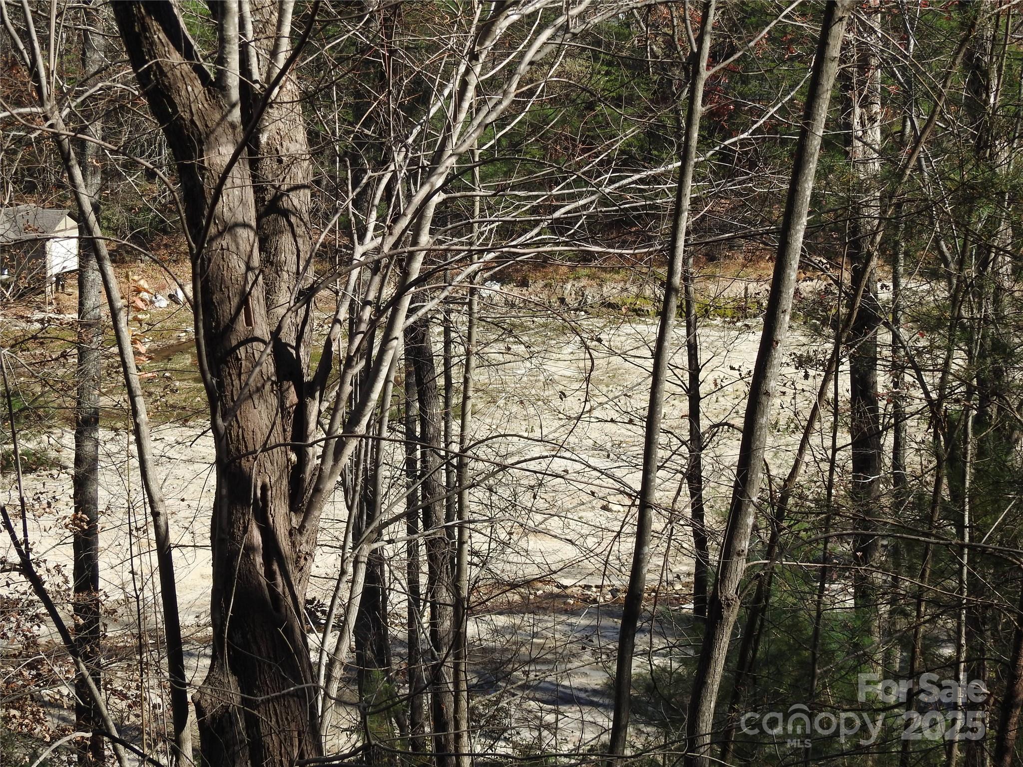 167 Firefly Point Lake Lure NC 28746