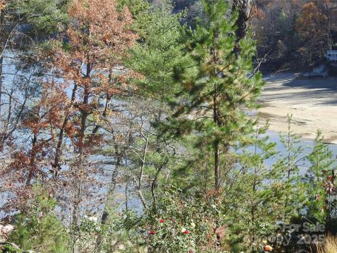 167 Firefly Point Lake Lure NC 28746