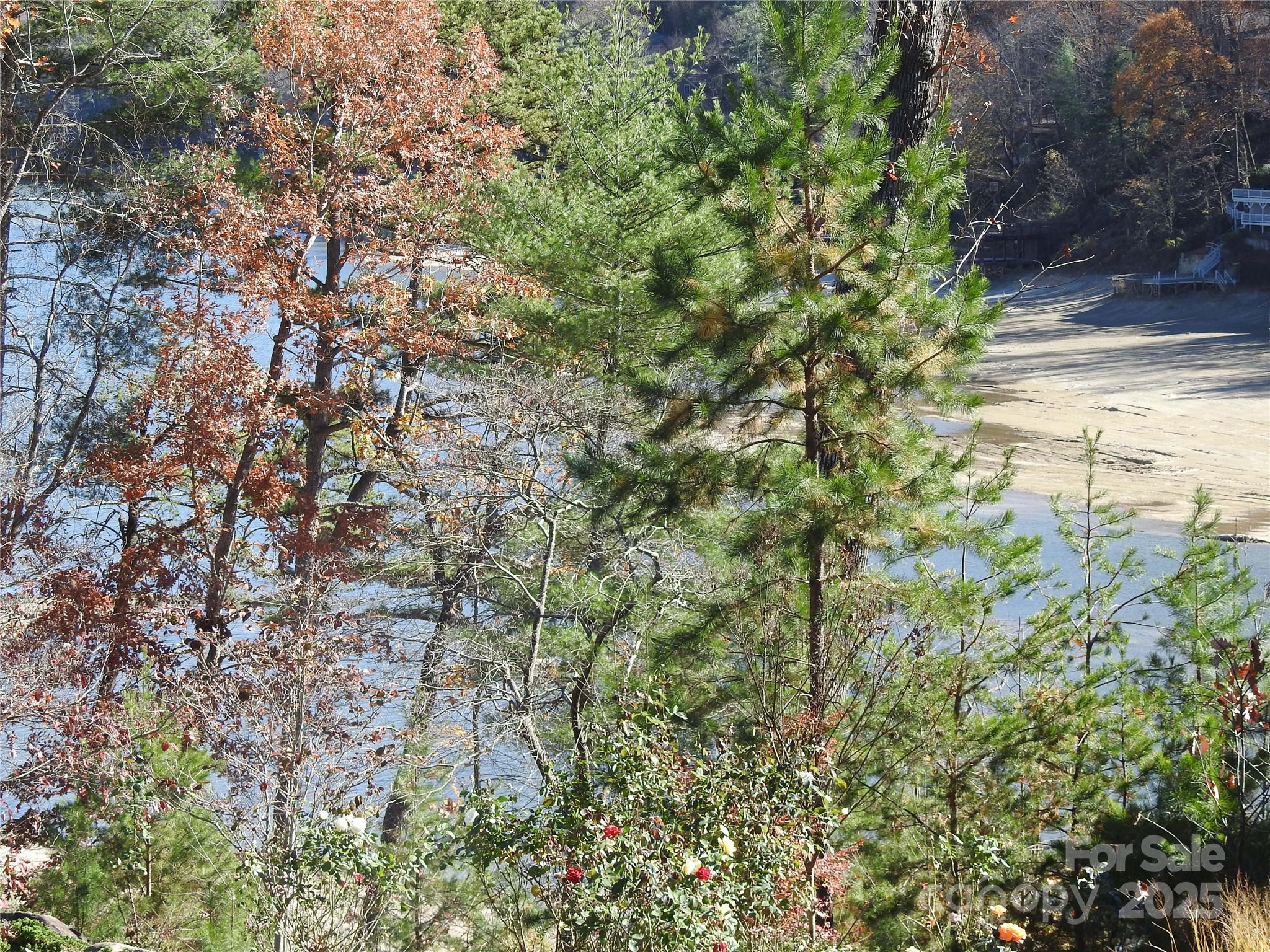 167 Firefly Point Lake Lure NC 28746