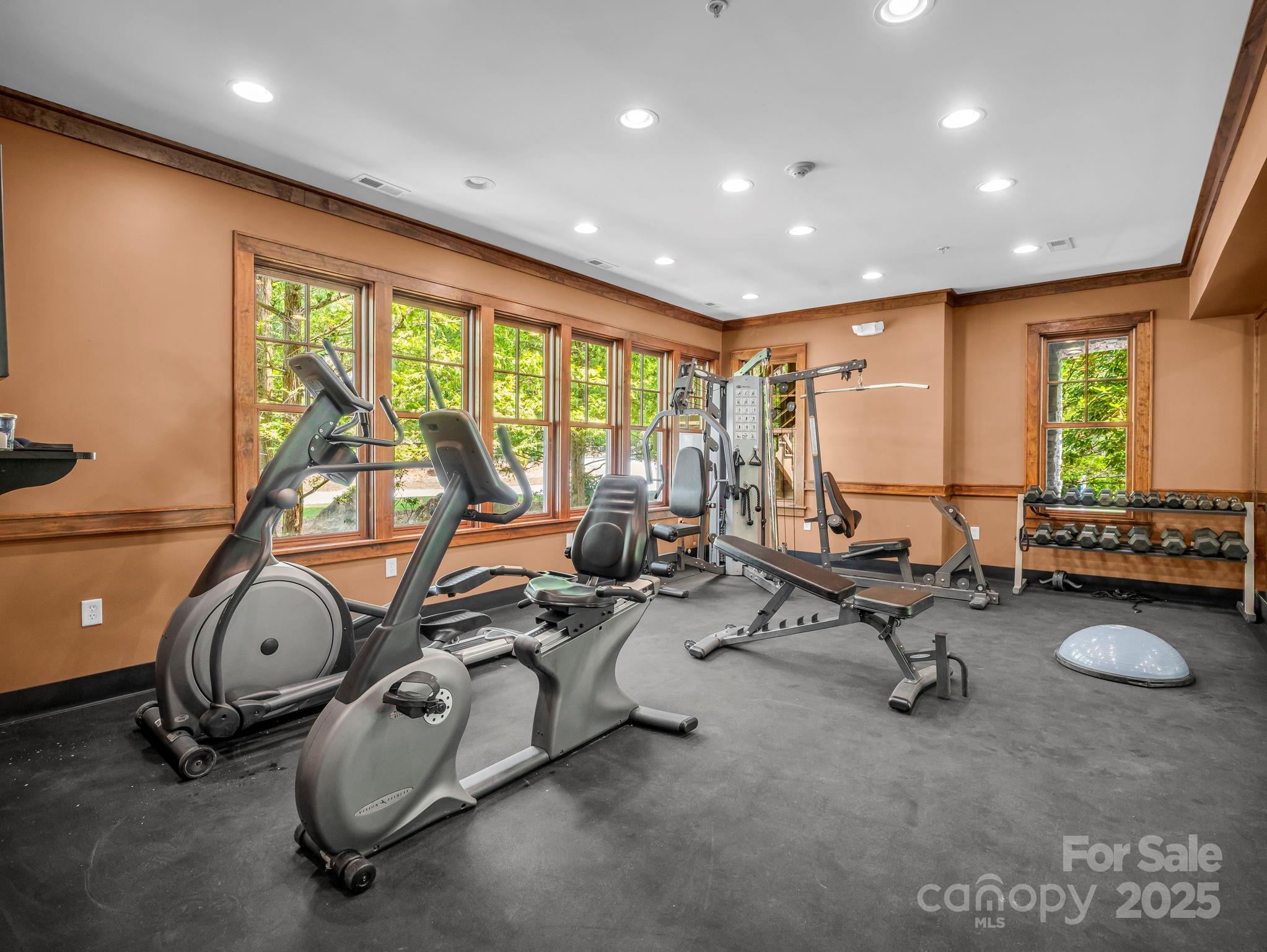 167 Firefly Point Lake Lure NC 28746