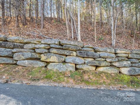 167 Firefly Point Lake Lure NC 28746