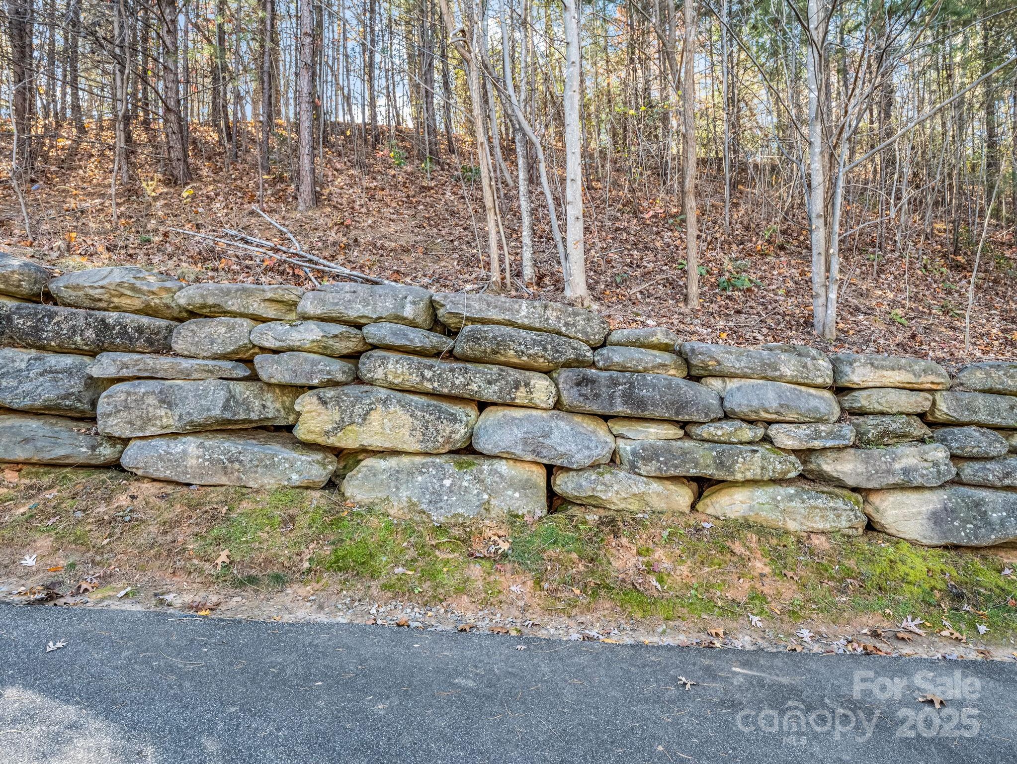 167 Firefly Point Lake Lure NC 28746