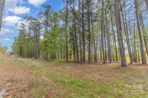 00 Tract 3 Off Charlotte Highway Clover SC 29710