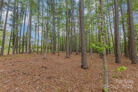 00 Tract 3 Off Charlotte Highway Clover SC 29710