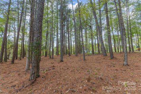 00 Tract 3 Off Charlotte Highway Clover SC 29710