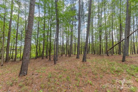 00 Tract 3 Off Charlotte Highway Clover SC 29710