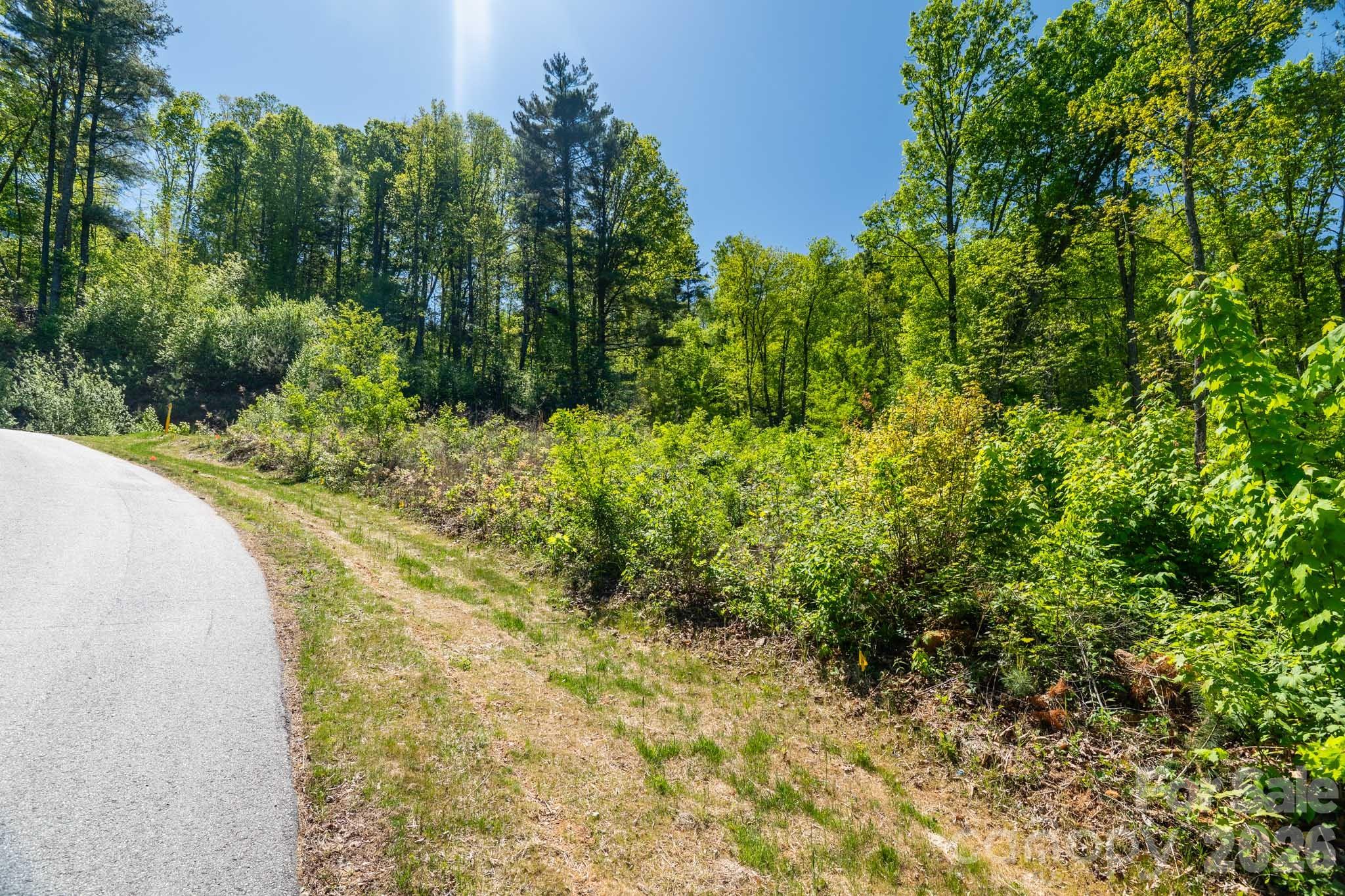 33 Bent Branch Lane Asheville NC 28804
