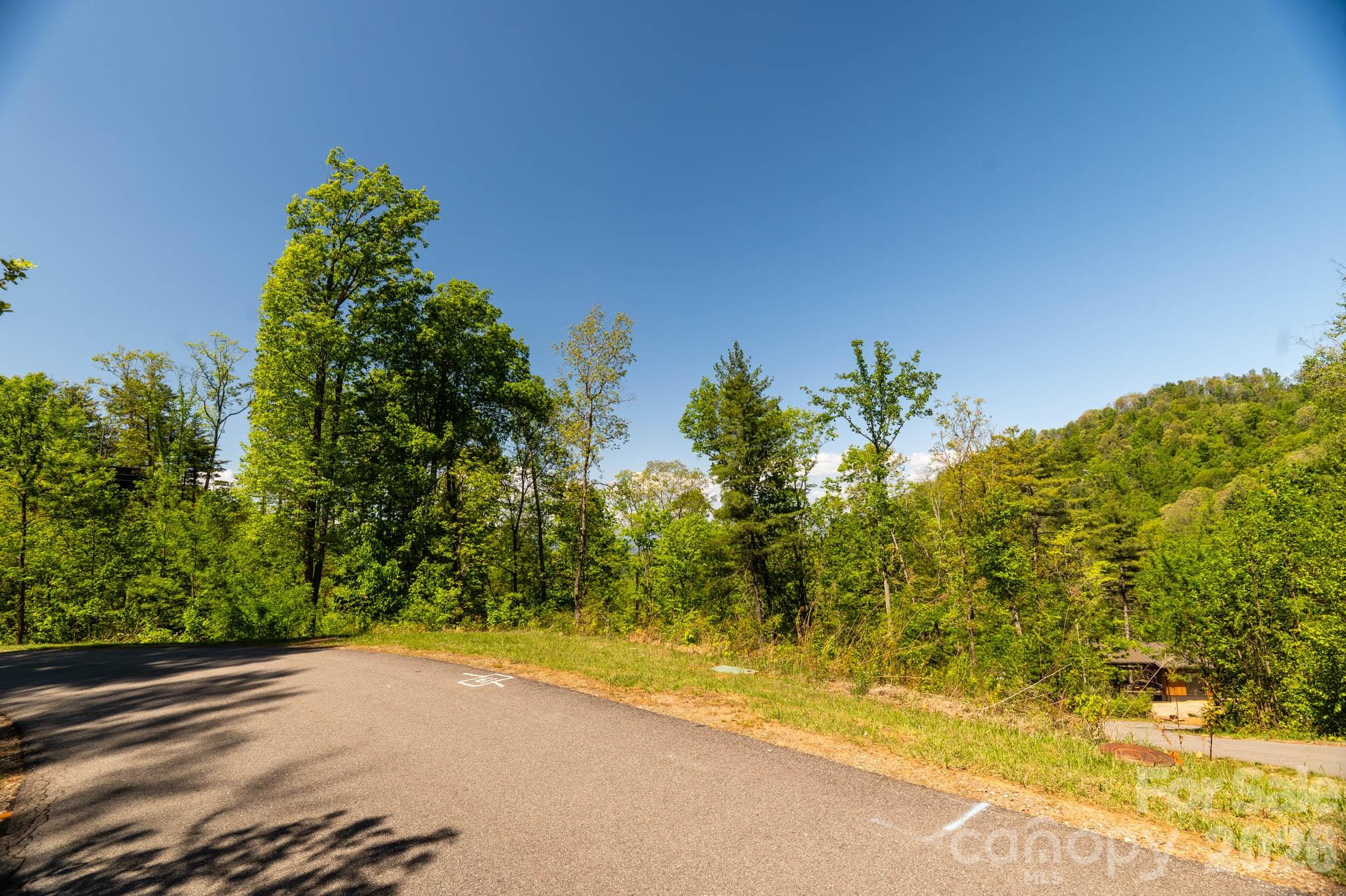 33 Bent Branch Lane Asheville NC 28804