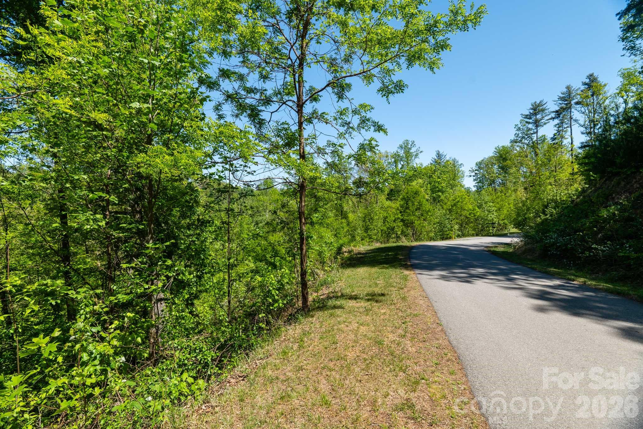 33 Bent Branch Lane Asheville NC 28804