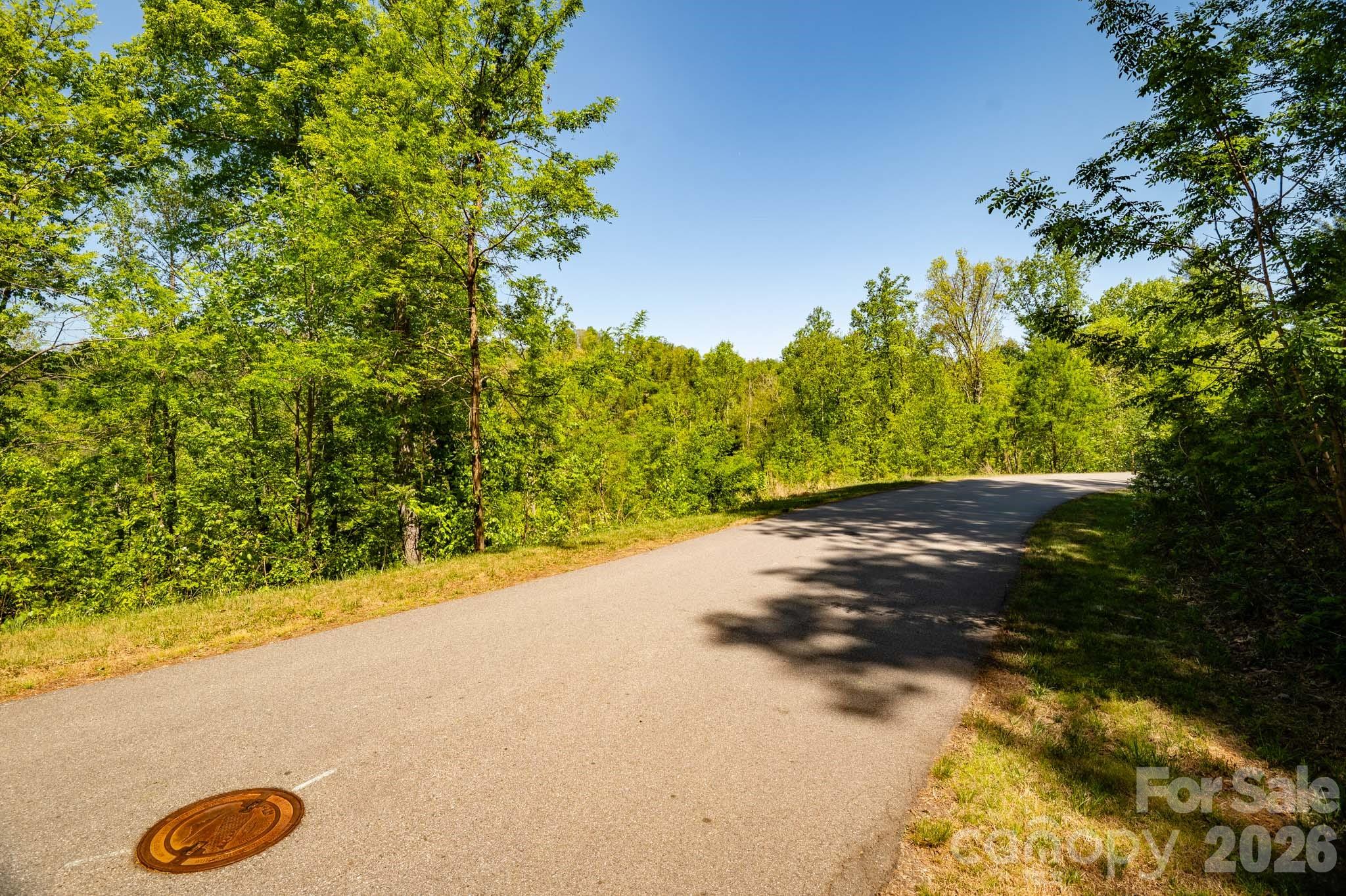 33 Bent Branch Lane Asheville NC 28804