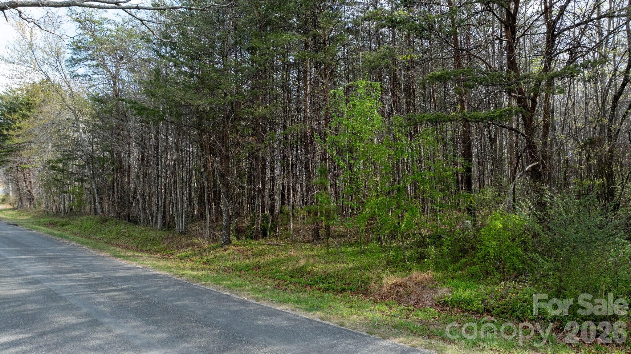 Tbd Joe Branch Road Nebo NC 28761