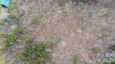 Tbd Joe Branch Road Nebo NC 28761