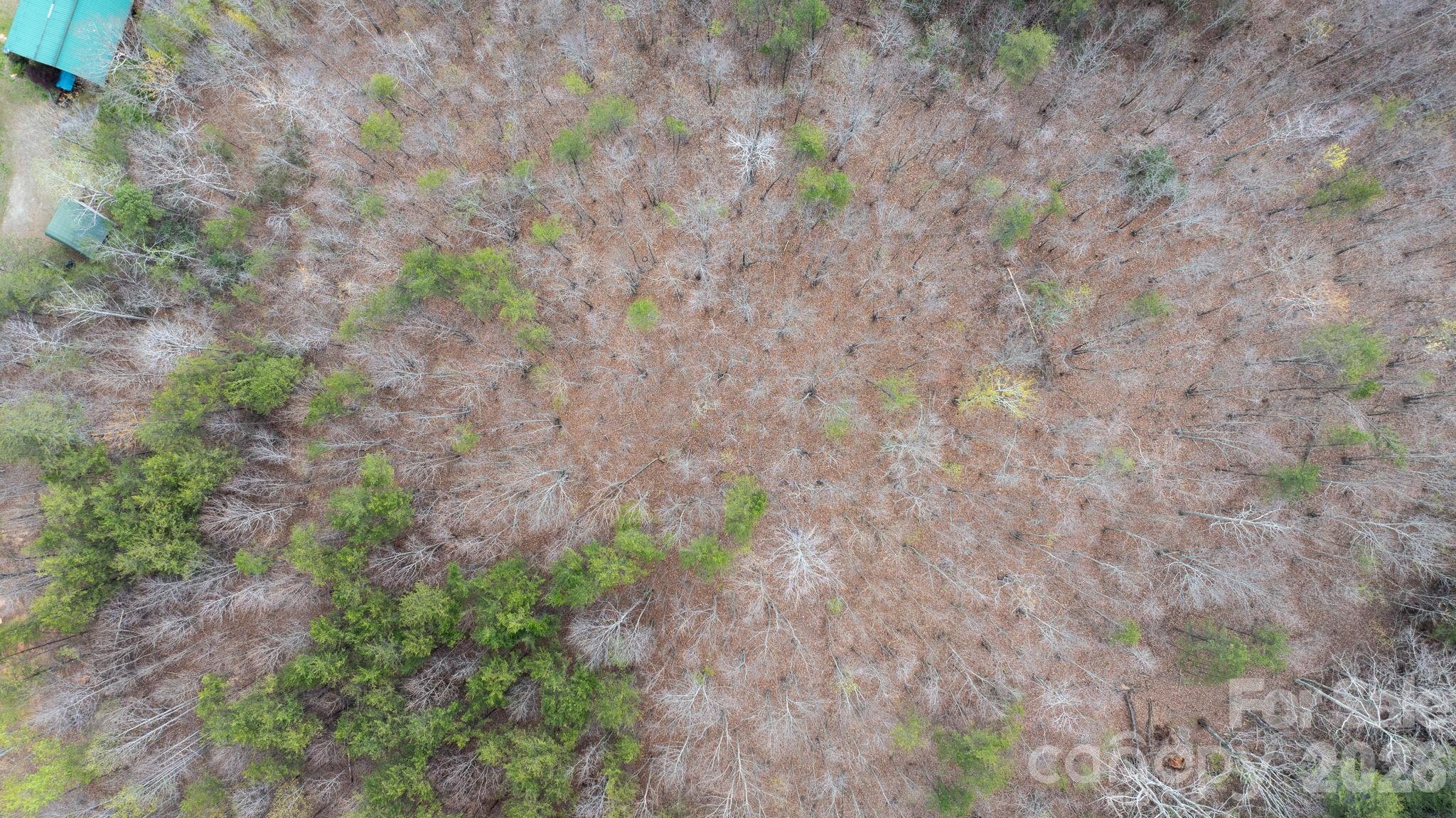 Tbd Joe Branch Road Nebo NC 28761