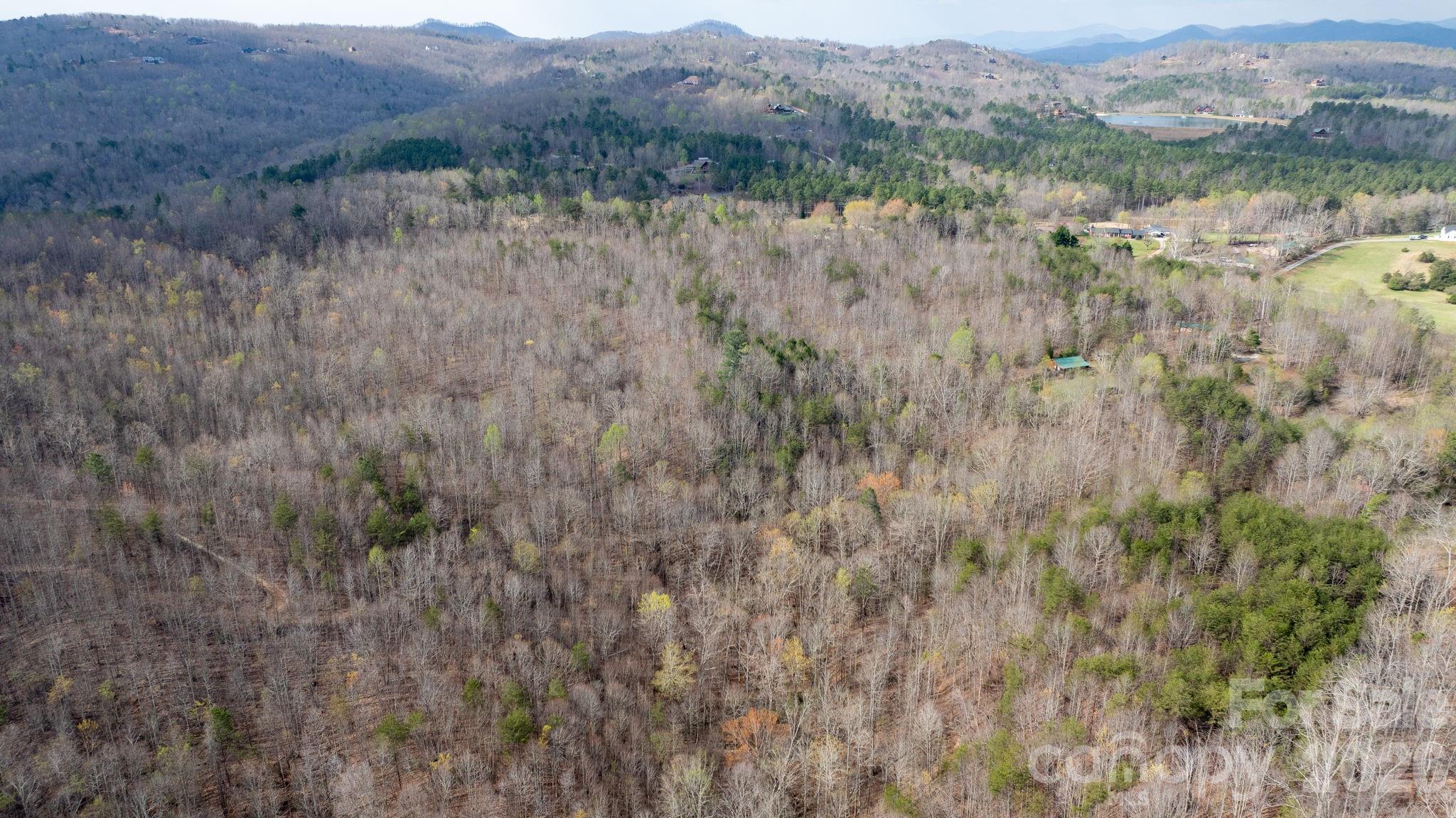 Tbd Joe Branch Road Nebo NC 28761