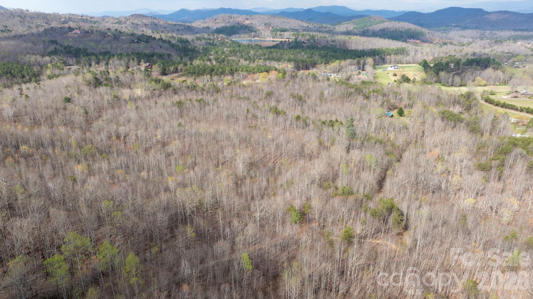 Tbd Joe Branch Road Nebo NC 28761