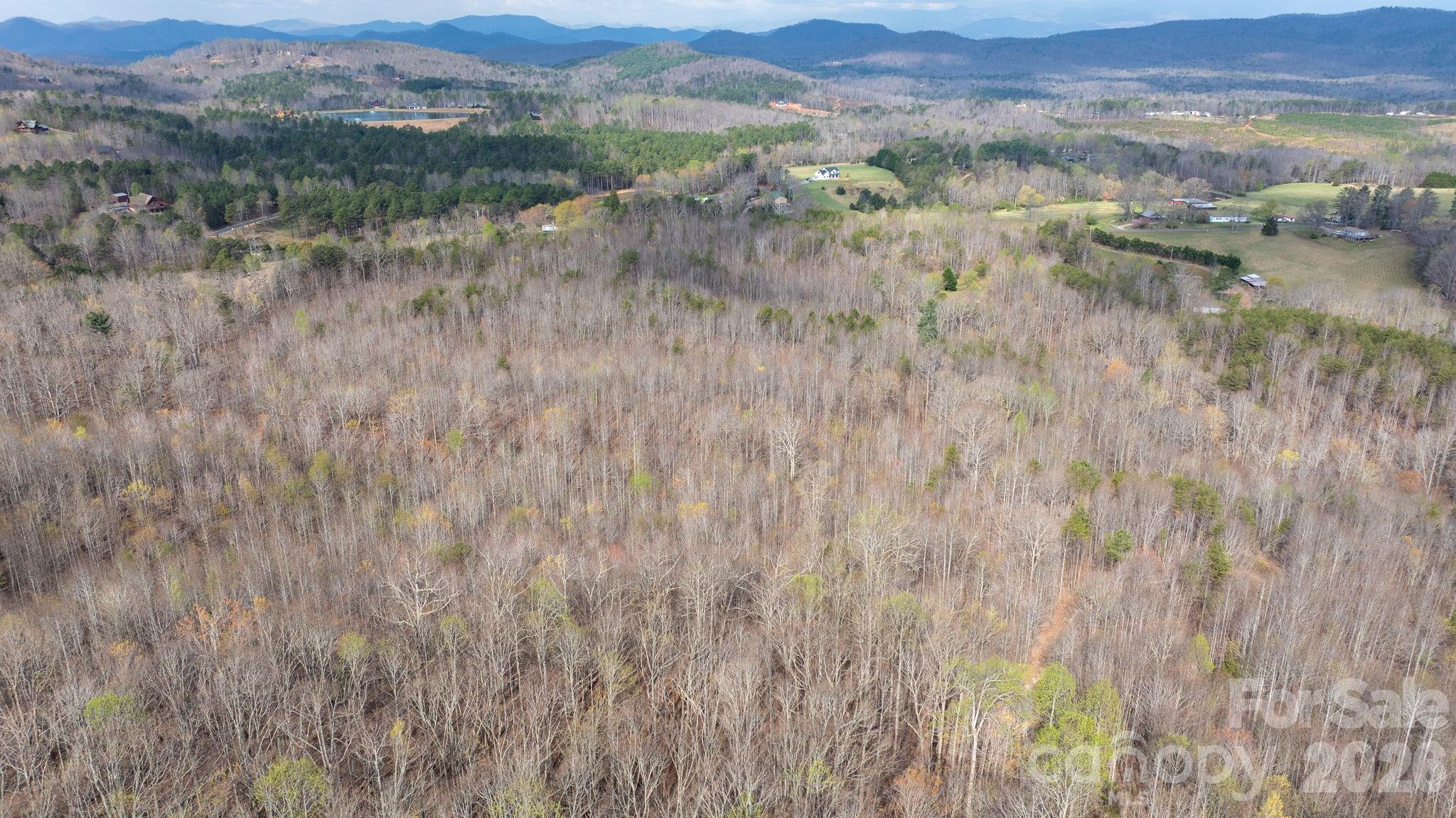 Tbd Joe Branch Road Nebo NC 28761