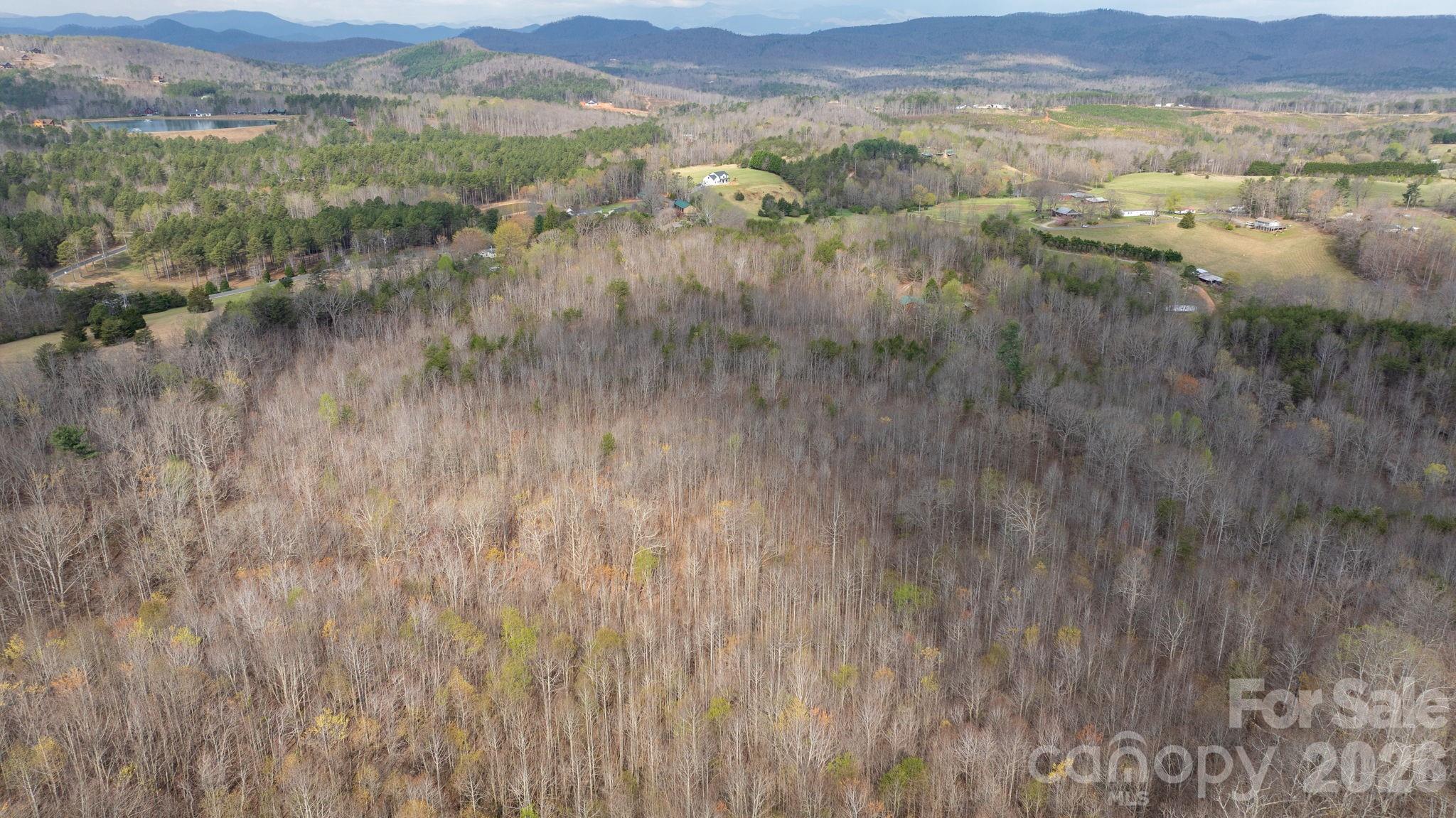 Tbd Joe Branch Road Nebo NC 28761