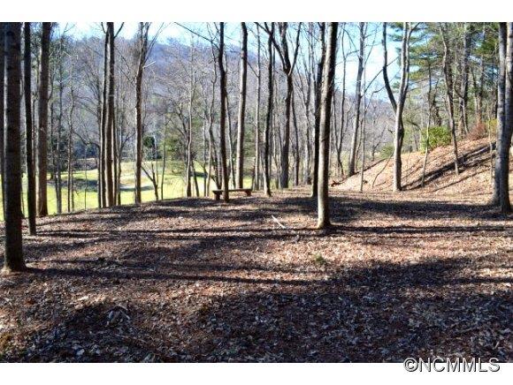 210 Robinhood Road Asheville NC 28804