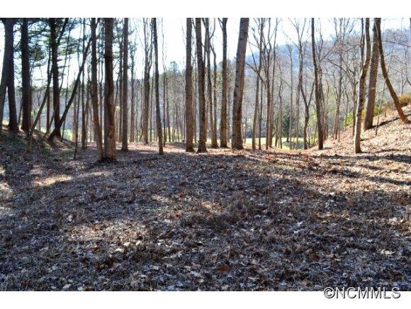 210 Robinhood Road Asheville NC 28804
