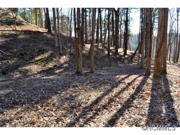 210 Robinhood Road Asheville NC 28804