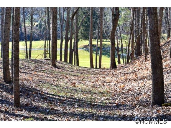 210 Robinhood Road Asheville NC 28804