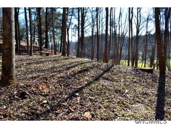 210 Robinhood Road Asheville NC 28804