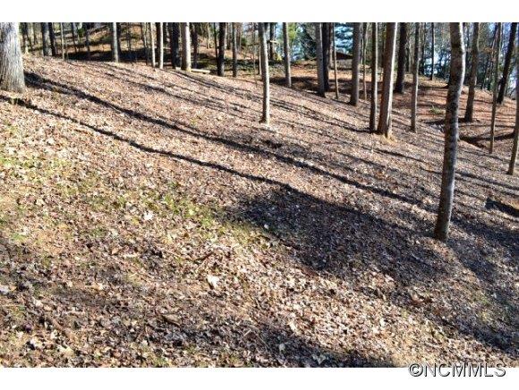 210 Robinhood Road Asheville NC 28804