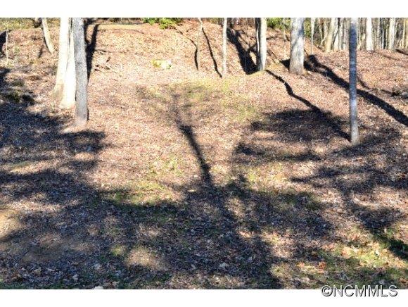 210 Robinhood Road Asheville NC 28804