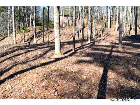 210 Robinhood Road Asheville NC 28804