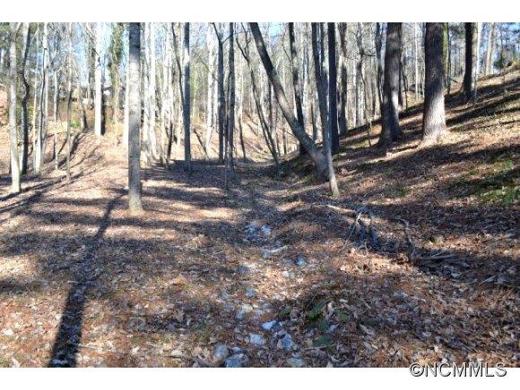 210 Robinhood Road Asheville NC 28804