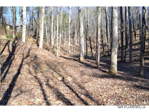 210 Robinhood Road Asheville NC 28804