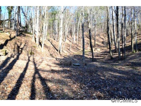 210 Robinhood Road Asheville NC 28804