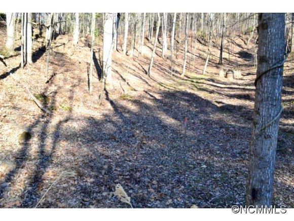 210 Robinhood Road Asheville NC 28804