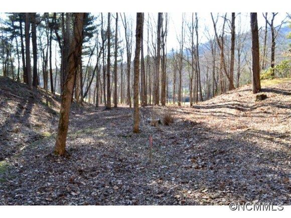 210 Robinhood Road Asheville NC 28804
