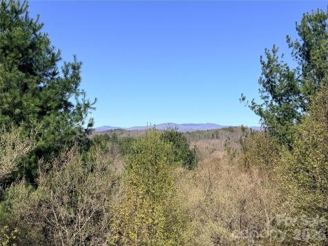 Tbd (Lot 21 & 22) Martha Lane Piney Creek NC 28663