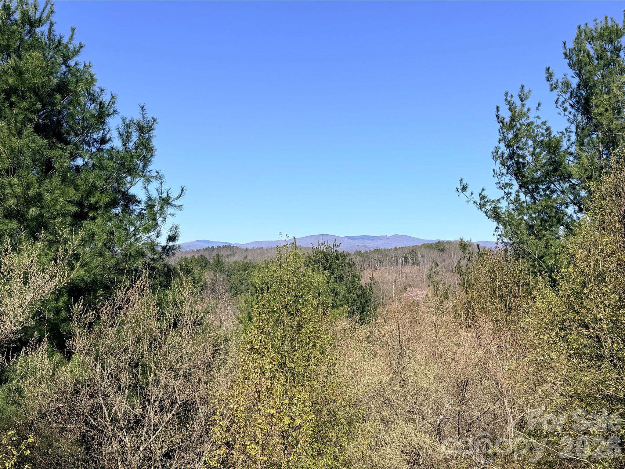 Tbd (Lot 21 & 22) Martha Lane Piney Creek NC 28663