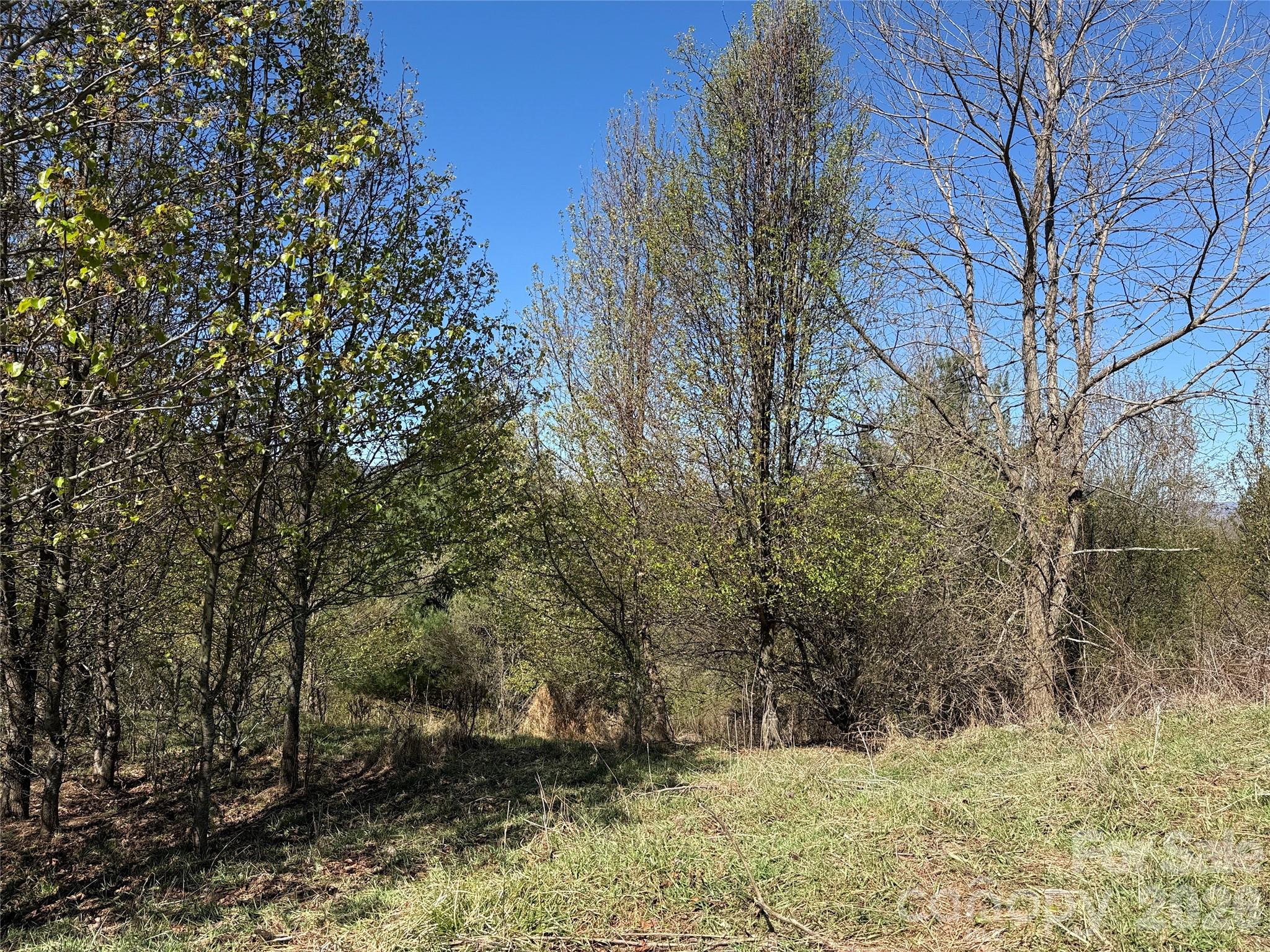 Tbd (Lot 21 & 22) Martha Lane Piney Creek NC 28663