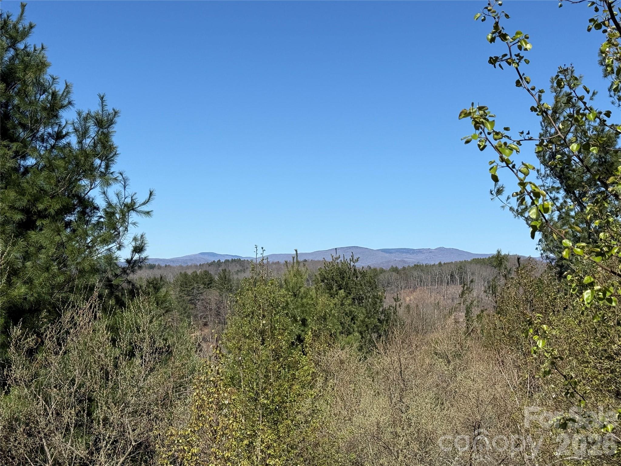 Tbd (Lot 21 & 22) Martha Lane Piney Creek NC 28663