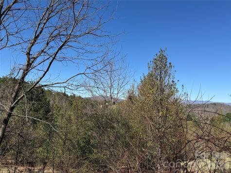 Tbd (Lot 21 & 22) Martha Lane Piney Creek NC 28663