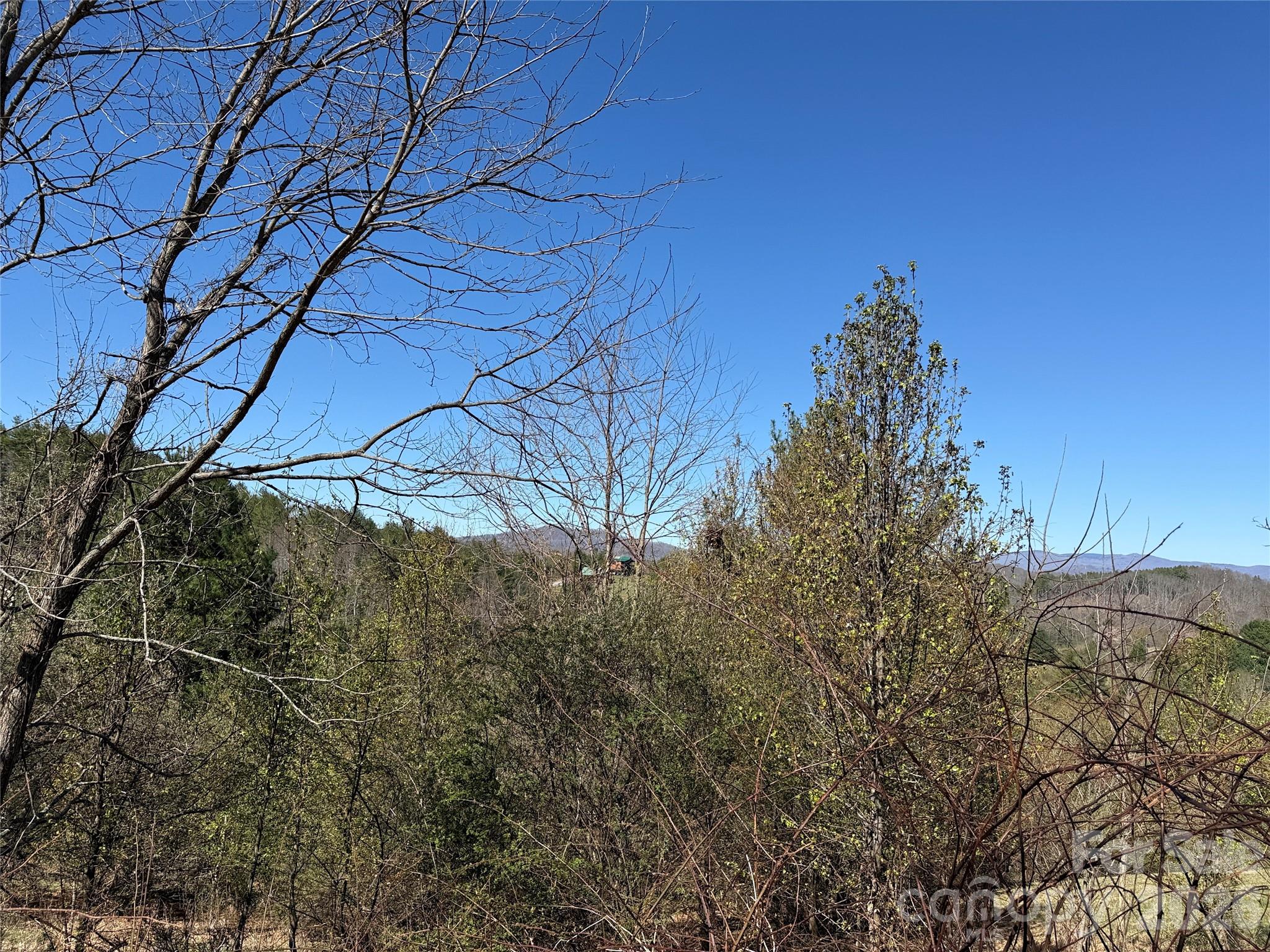 Tbd (Lot 21 & 22) Martha Lane Piney Creek NC 28663