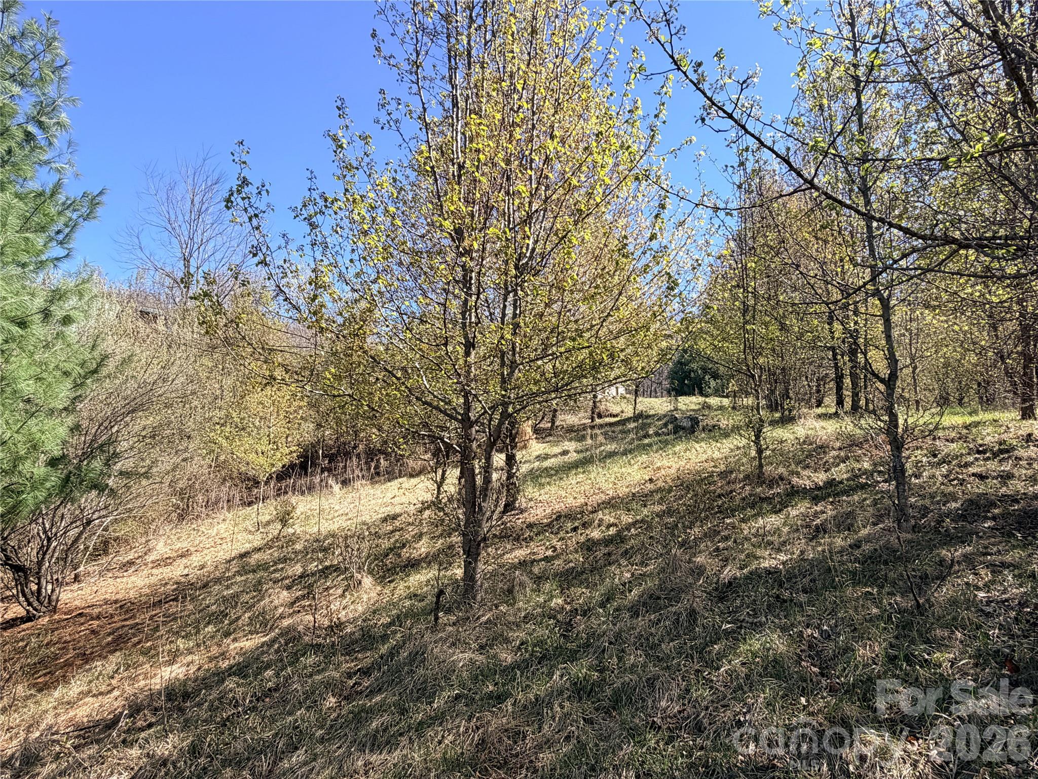 Tbd (Lot 21 & 22) Martha Lane Piney Creek NC 28663