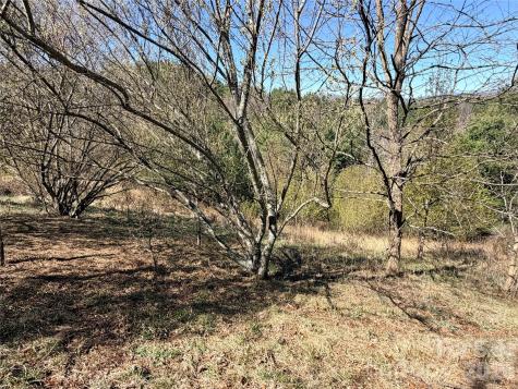 Tbd (Lot 21 & 22) Martha Lane Piney Creek NC 28663