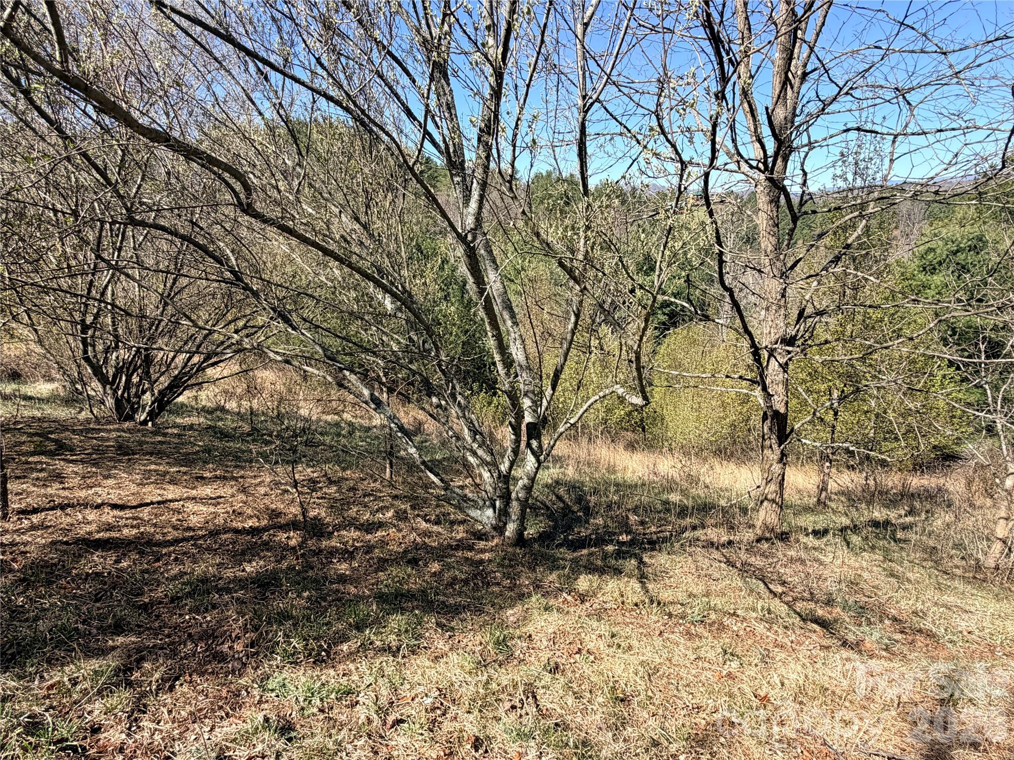 Tbd (Lot 21 & 22) Martha Lane Piney Creek NC 28663
