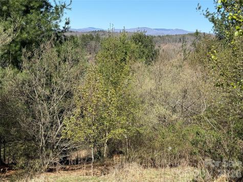 Tbd (Lot 21 & 22) Martha Lane Piney Creek NC 28663