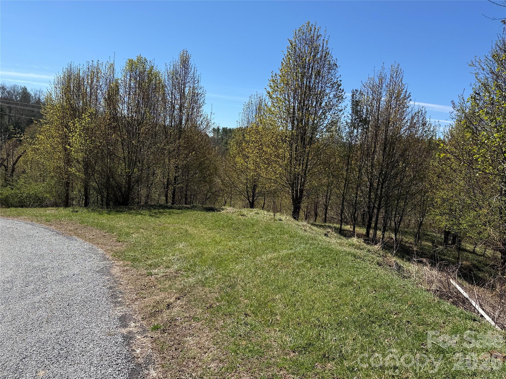 Tbd (Lot 21 & 22) Martha Lane Piney Creek NC 28663
