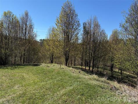 Tbd (Lot 21 & 22) Martha Lane Piney Creek NC 28663