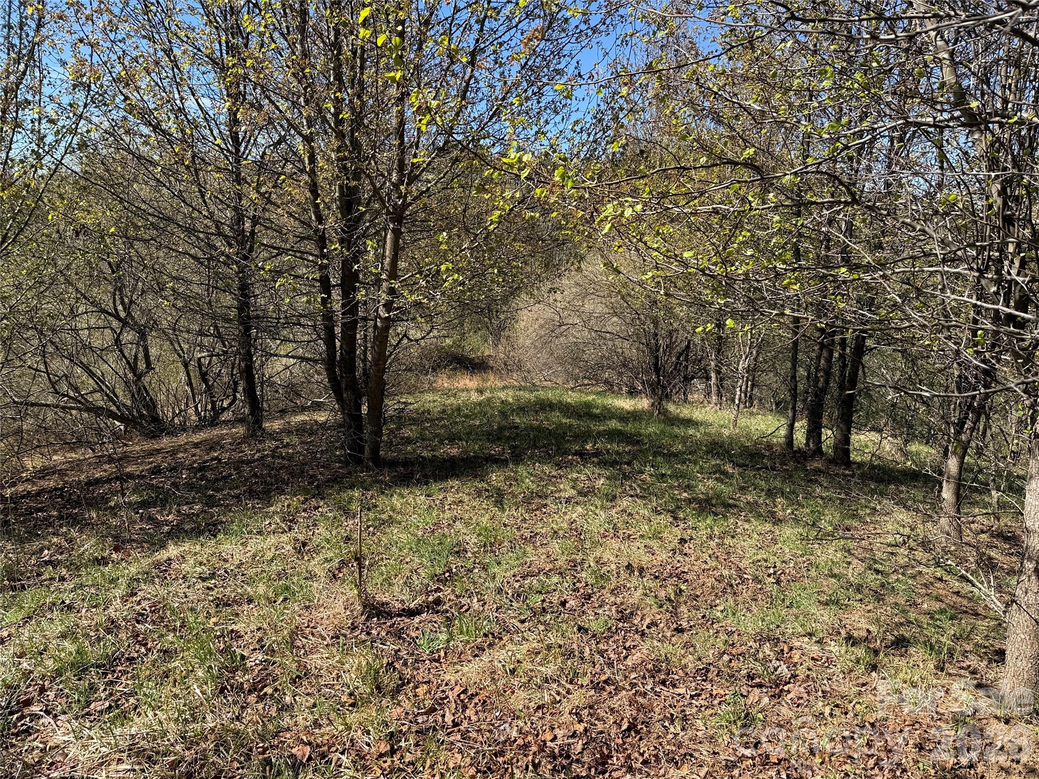 Tbd (Lot 21 & 22) Martha Lane Piney Creek NC 28663