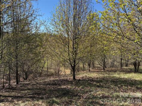 Tbd (Lot 21 & 22) Martha Lane Piney Creek NC 28663