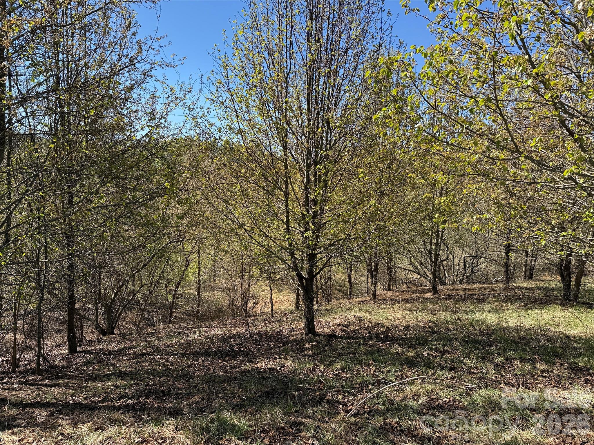 Tbd (Lot 21 & 22) Martha Lane Piney Creek NC 28663