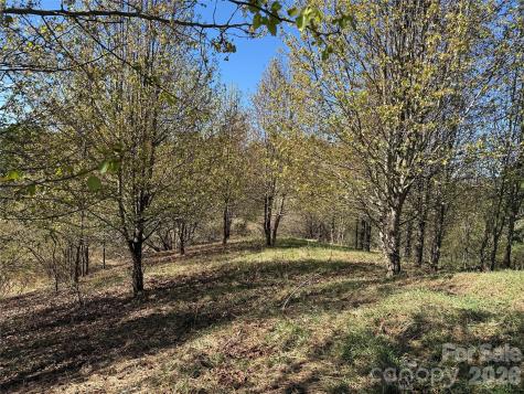 Tbd (Lot 21 & 22) Martha Lane Piney Creek NC 28663
